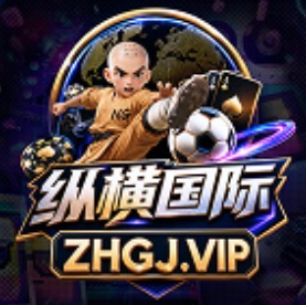 纵横国际